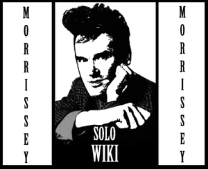 Solowiki17.png