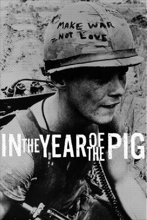In The Year Of The Pig.jpg