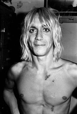 Iggy Pop.jpg