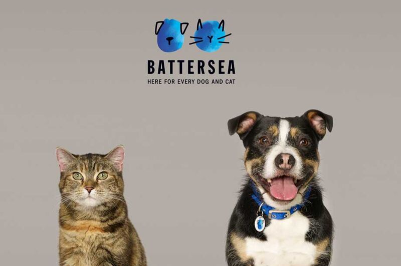 File:Battersea Dogs Cat thumb.jpg